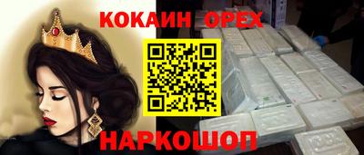 крисы Моздок