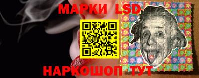 крисы Моздок
