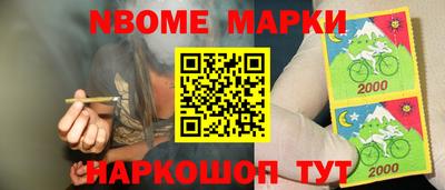 крисы Моздок