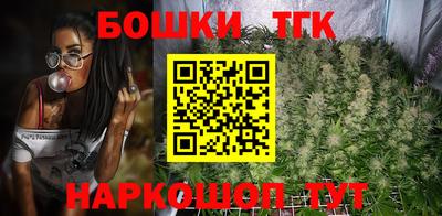 крисы Моздок