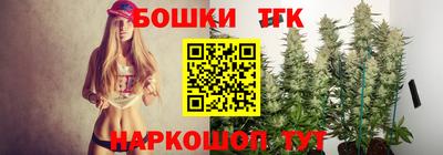 крисы Моздок