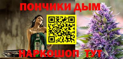 крисы Моздок