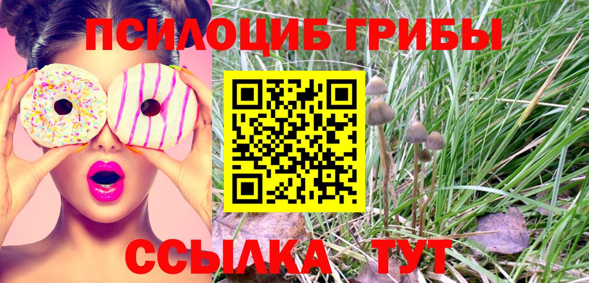 Псилоцибиновые грибы ЛСД  Вход с VPN  Учалы 